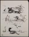 Arthur Lismer, 1885 - 1969
Untitled (turtle and ant; ducks; snakes)
ink on paper
20.4 x 25.6…