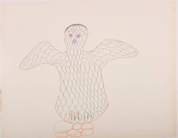 drawing