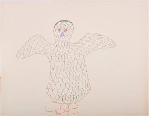 drawing