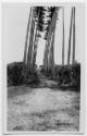 J.E.H. and wife Joan MacDonald, photographers
West Indies, Spring 1932 
black and white print…