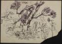 Arthur Lismer, 1885 - 1969
Untitled (two men in fanciful forest surrounded by animals)
pen an…