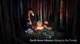 Asleep in the Forest