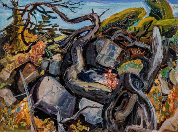 Photo Credit: Toni Hafkenscheid