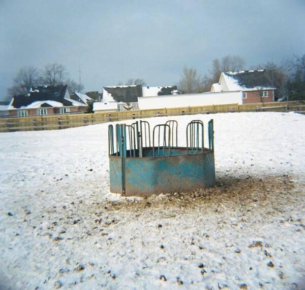 Feeder (study from the Niagara series)