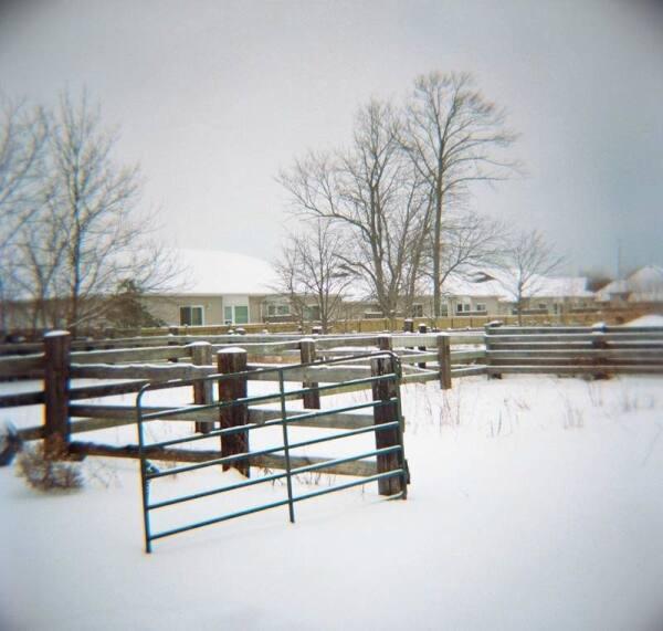 Gate (study from the Niagara series)