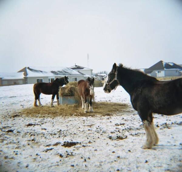 Marquee (study from the Niagara series)