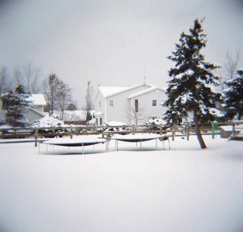 Trampolines (study from the Niagara series)