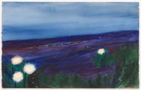 Photo Credit: Toni Hafkenscheid