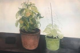 Photo Credit: Toni Hafkenscheid