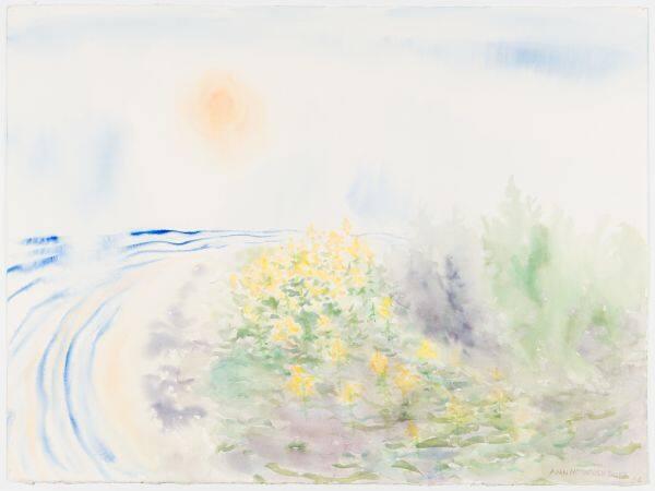 Afternoon on the Island