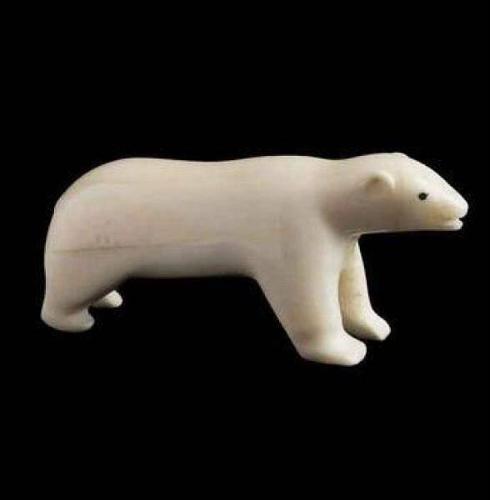 Polar Bear