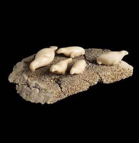 Mother Seal and Four Pups