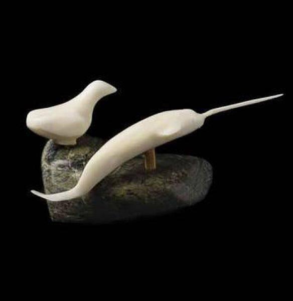 Bird and Narwhal