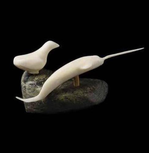 Bird and Narwhal