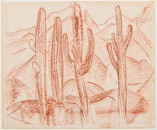 Photo Credit: Toni Hafkenscheid