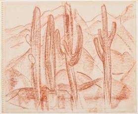 Photo Credit: Toni Hafkenscheid