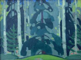 Forest Interior, Skeena River