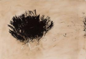 Photo Credit: Toni Hafkenscheid