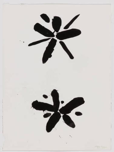 Photo Credit: Toni Hafkenscheid