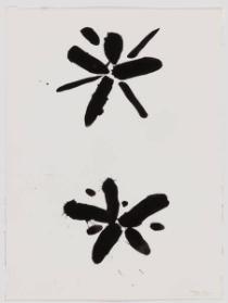 Photo Credit: Toni Hafkenscheid