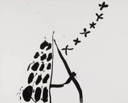 Photo Credit: Toni Hafkenscheid