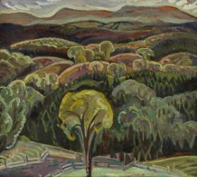 Photo Credit: Toni Hafkenscheid