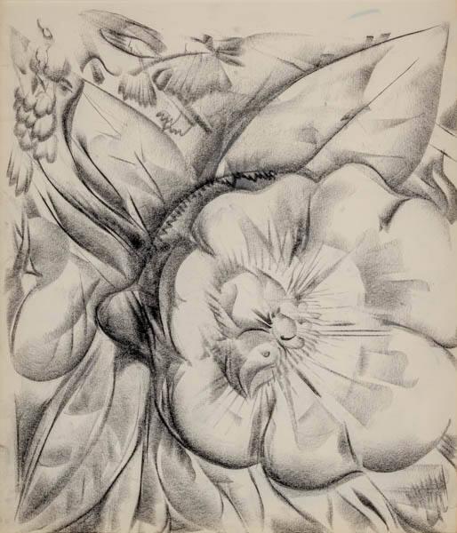 Photo Credit: Toni Hafkenscheid