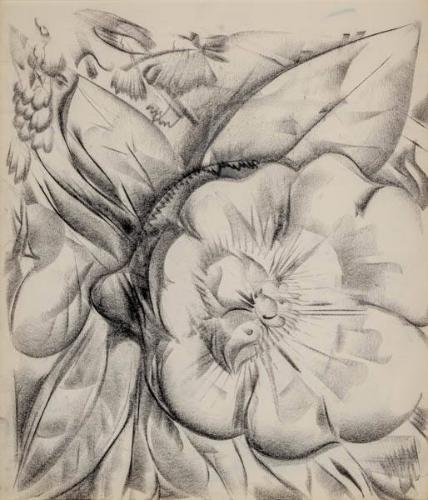 Photo Credit: Toni Hafkenscheid