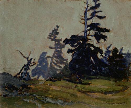 Trees in Sea Mist, Atlantic Coast, N.S.