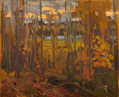 Autumn Algonquin