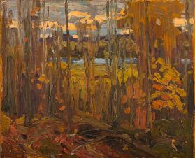 Autumn Algonquin