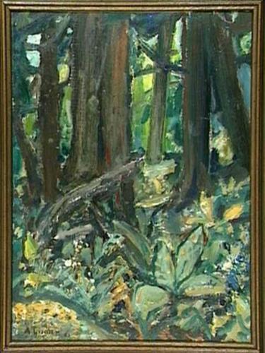 Untitled (forest interior, B.C .)