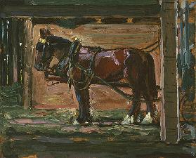 Horses, Hardy's Barn, Oakwood