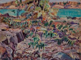 Photo Credit: Toni Hafkenscheid