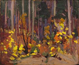 Dappled Thicket