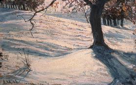 In High Park