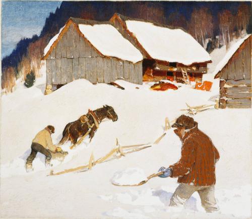 The Day After the Storm