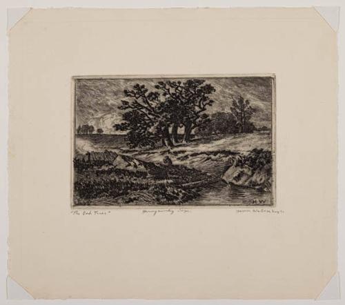 Photo Credit: Toni Hafkenscheid