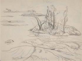 Photo Credit: Toni Hafkenscheid