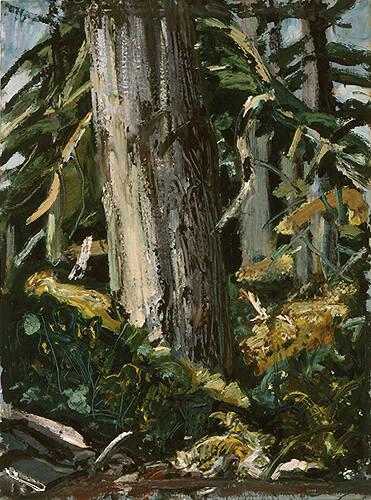 Vancouver Island B.C.