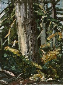 Vancouver Island B.C.