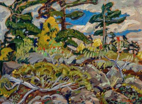 Photo Credit: Toni Hafkenscheid