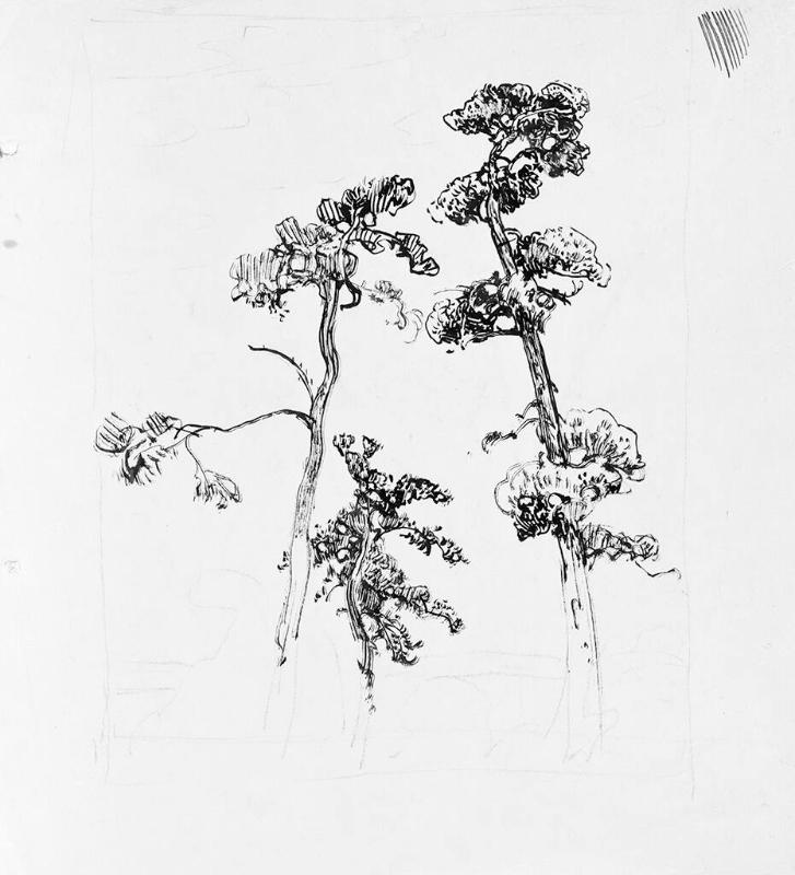 White Pines, Georgian Bay