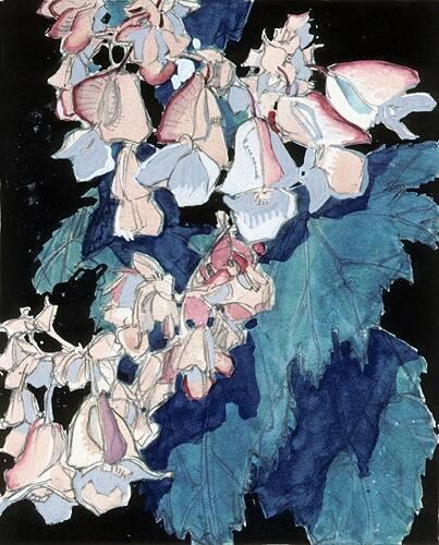 Study of Wisteria