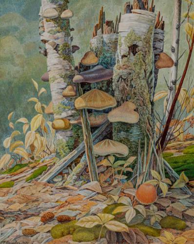 Photo Credit: Toni Hafkenscheid