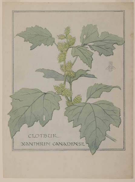 Photo Credit: Toni Hafkenscheid