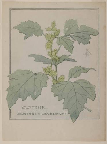 Photo Credit: Toni Hafkenscheid