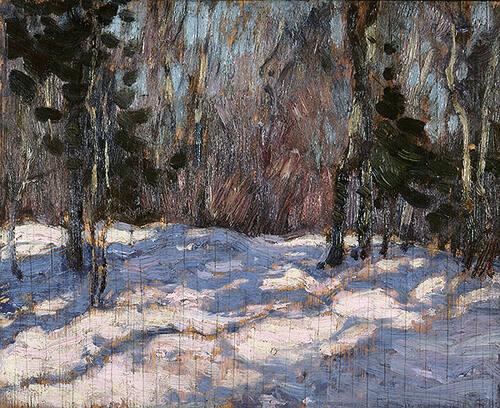 Snow, Algonquin Park