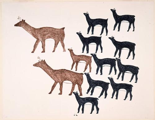 Caribou Herd
