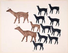 Caribou Herd